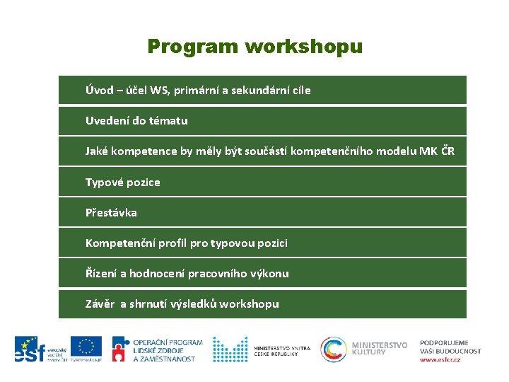 Program workshopu Úvod – účel WS, primární a sekundární cíle Uvedení do tématu Jaké