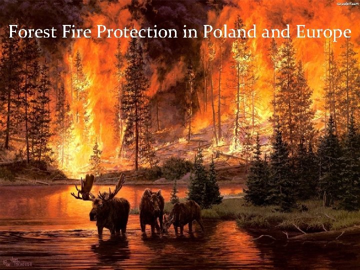 Forest Fire Protection in Poland Europe 