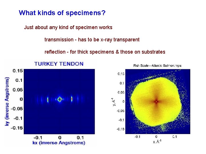 What kinds of specimens? Just about any kind of specimen works transmission - has