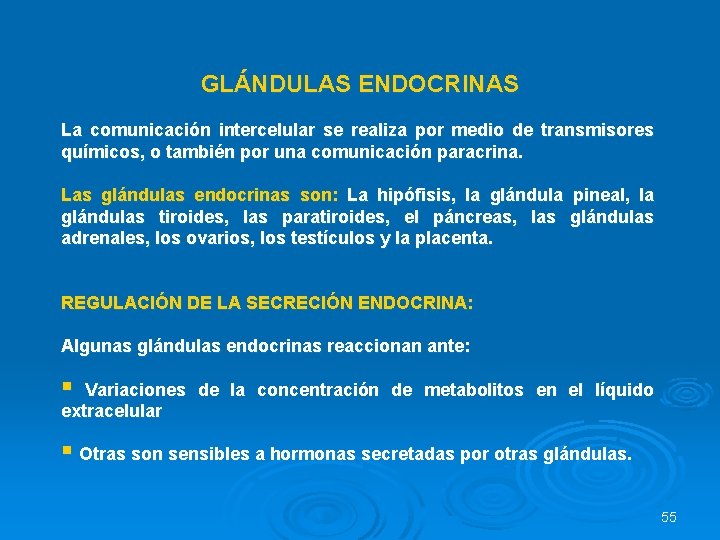 GLÁNDULAS ENDOCRINAS La comunicación intercelular se realiza por medio de transmisores químicos, o también