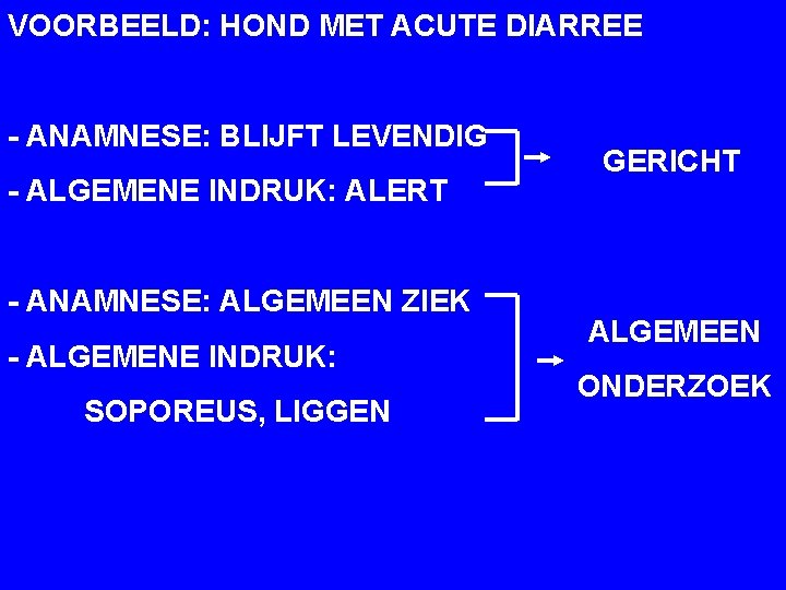 VOORBEELD: HOND MET ACUTE DIARREE - ANAMNESE: BLIJFT LEVENDIG - ALGEMENE INDRUK: ALERT -