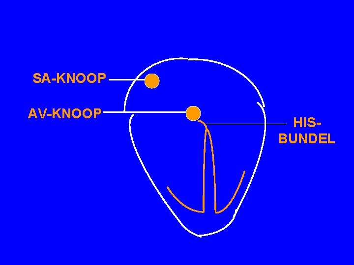 SA-KNOOP AV-KNOOP HISBUNDEL 