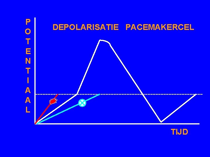 P O T E N T I A A L DEPOLARISATIE PACEMAKERCEL TIJD 