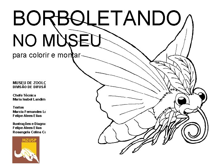 BORBOLETANDO NO MUSEU para colorir e montar MUSEU DE ZOOLOGIA DA USP DIVISÃO DE