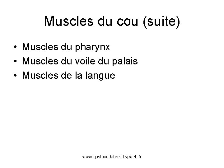 Muscles du cou (suite) • Muscles du pharynx • Muscles du voile du palais