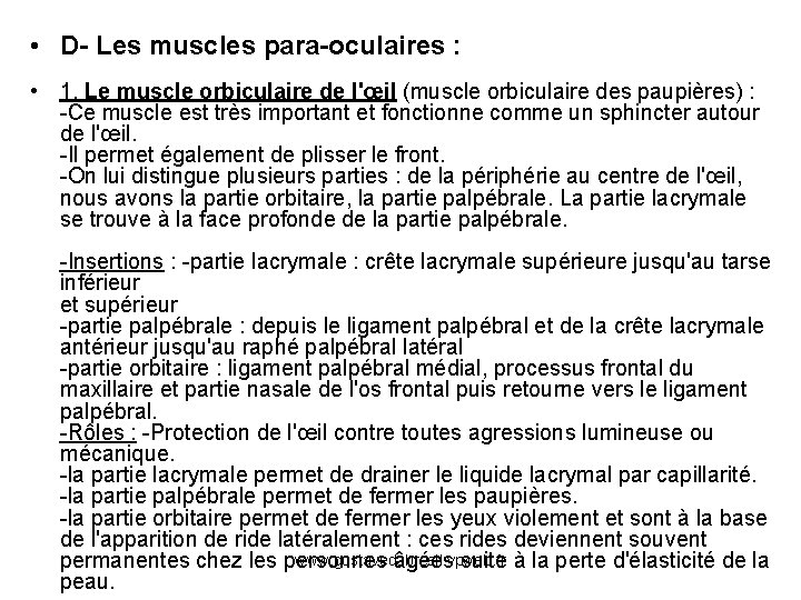 • D- Les muscles para-oculaires : • 1. Le muscle orbiculaire de l'œil • D- Les muscles para-oculaires : • 1. Le muscle orbiculaire de l'œil