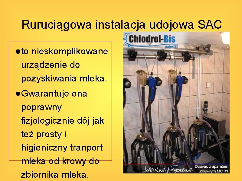 Ruruciągowa instalacja udojowa SAC ●to nieskomplikowane urządzenie do pozyskiwania mleka. ●Gwarantuje ona poprawny fizjologicznie