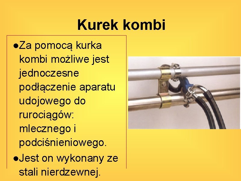 Kurek kombi ●Za pomocą kurka kombi możliwe jest jednoczesne podłączenie aparatu udojowego do rurociągów: