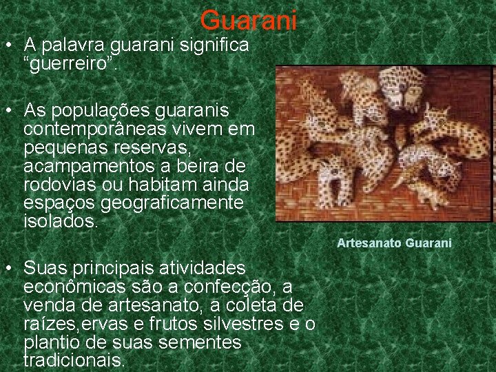 Guarani • A palavra guarani significa “guerreiro”. • As populações guaranis contemporâneas vivem em