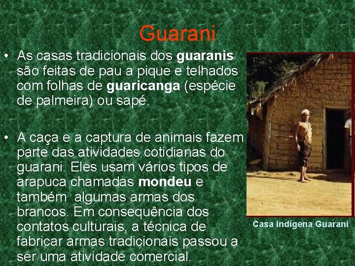 Guarani • As casas tradicionais dos guaranis são feitas de pau a pique e