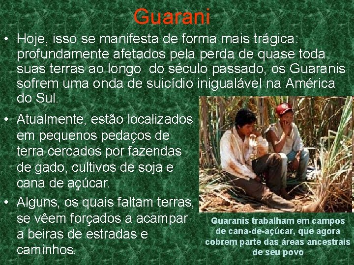 Guarani • Hoje, isso se manifesta de forma mais trágica: profundamente afetados pela perda