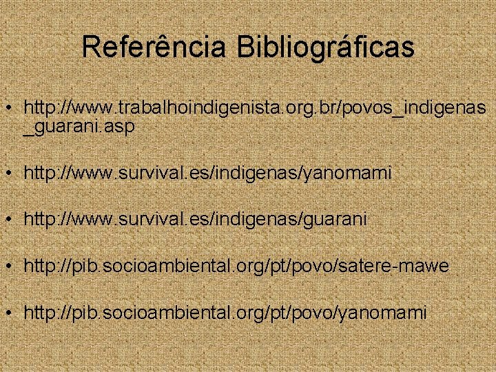Referência Bibliográficas • http: //www. trabalhoindigenista. org. br/povos_indigenas _guarani. asp • http: //www. survival.