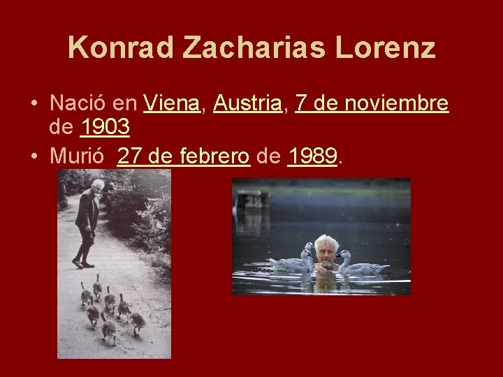 Konrad Zacharias Lorenz • Nació en Viena, Austria, 7 de noviembre de 1903 •