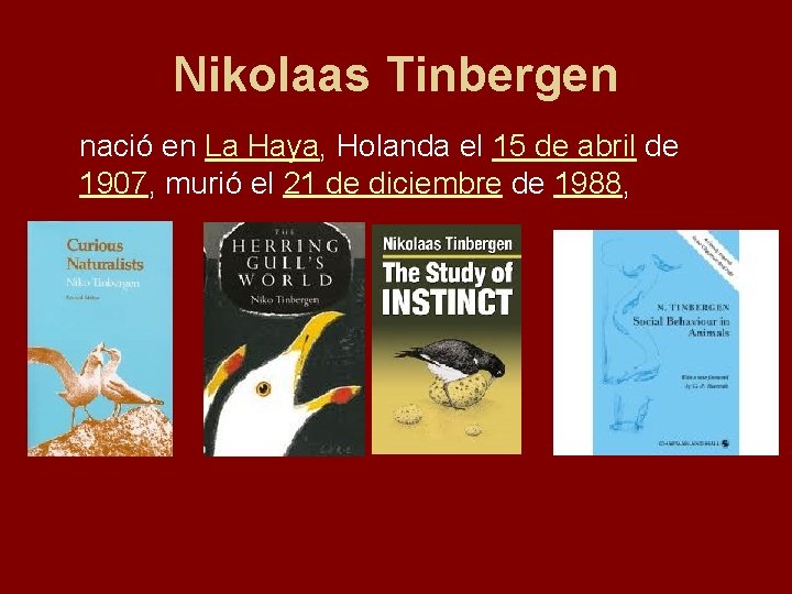 Nikolaas Tinbergen nació en La Haya, Holanda el 15 de abril de 1907, murió