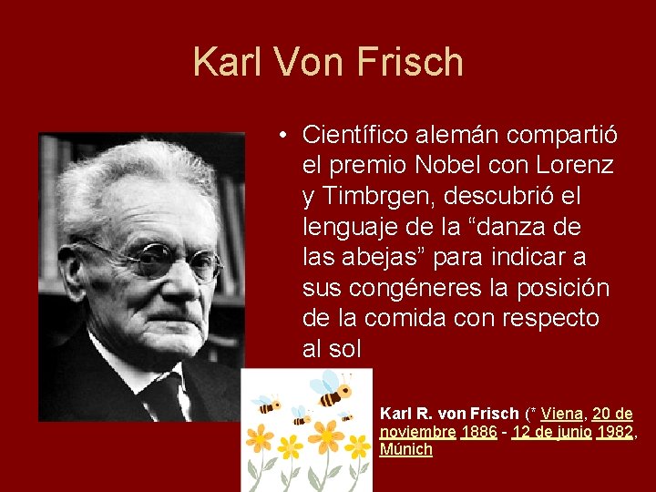 Karl Von Frisch • Científico alemán compartió el premio Nobel con Lorenz y Timbrgen,