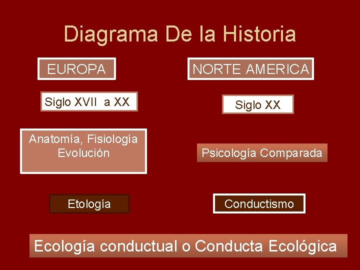 Diagrama De la Historia EUROPA Siglo XVII a XX Anatomía, Fisiología Evolución Etología NORTE
