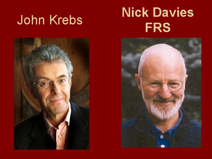 John Krebs Nick Davies FRS 