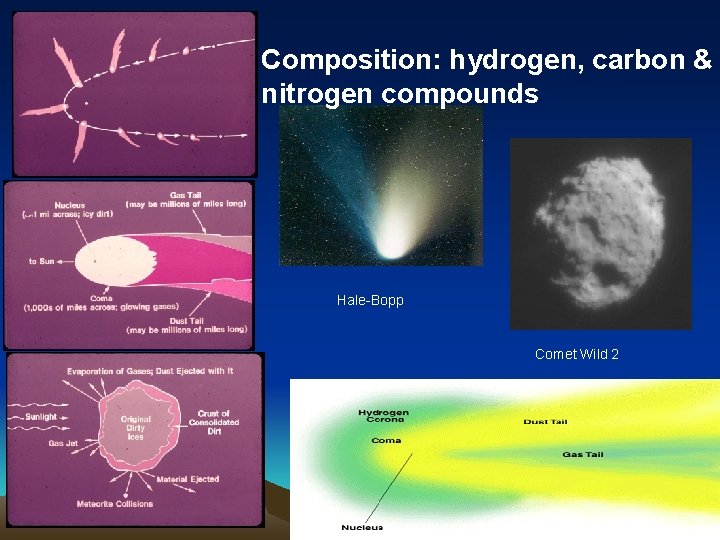 Composition: hydrogen, carbon & nitrogen compounds Hale-Bopp Comet Wild 2 