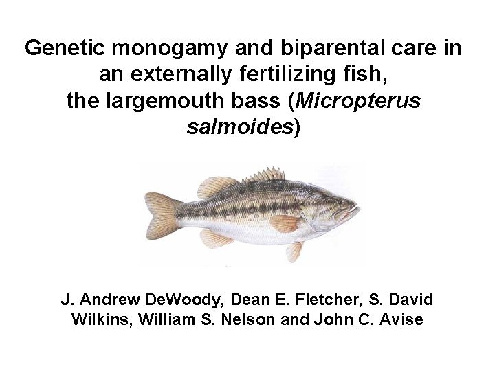 Genetic monogamy and biparental care in an externally fertilizing fish, the largemouth bass (Micropterus