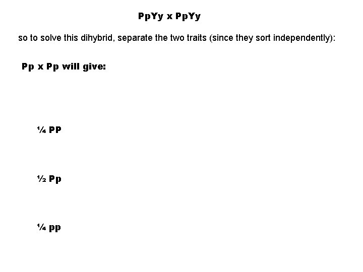 Pp. Yy x Pp. Yy so to solve this dihybrid, separate the two traits