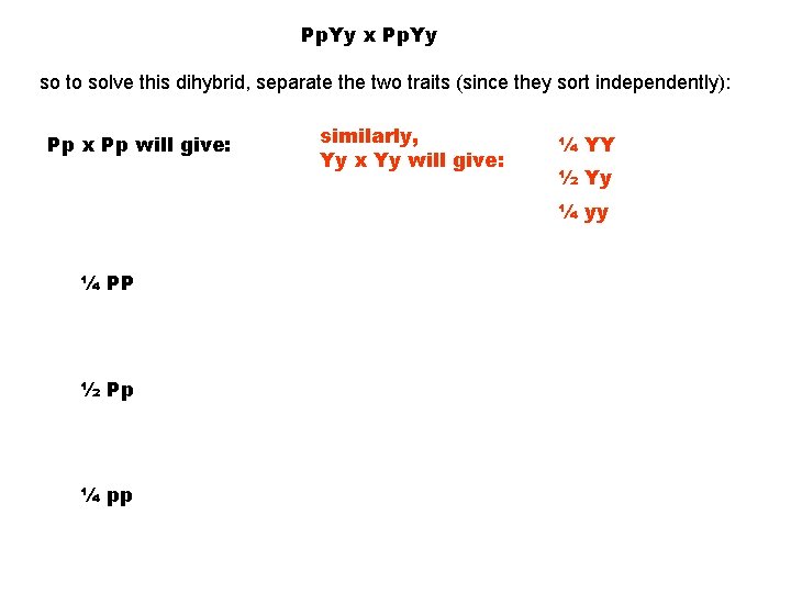 Pp. Yy x Pp. Yy so to solve this dihybrid, separate the two traits