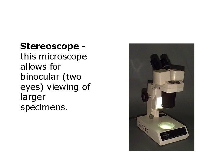 Stereoscope this microscope allows for binocular (two eyes) viewing of larger specimens. 