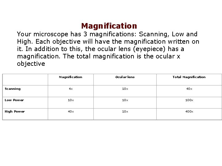 Magnification Your microscope has 3 magnifications: Scanning, Low and High. Each objective will have