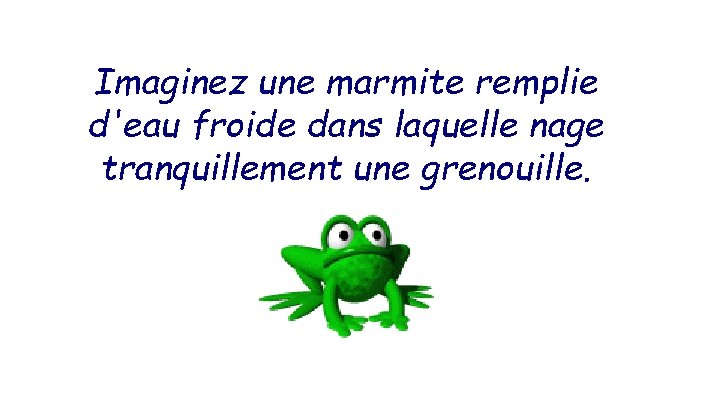 Imaginez une marmite remplie d'eau froide dans laquelle nage tranquillement une grenouille. 