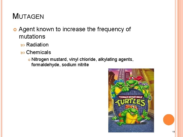MUTAGEN Agent known to increase the frequency of mutations Radiation Chemicals Nitrogen mustard, vinyl