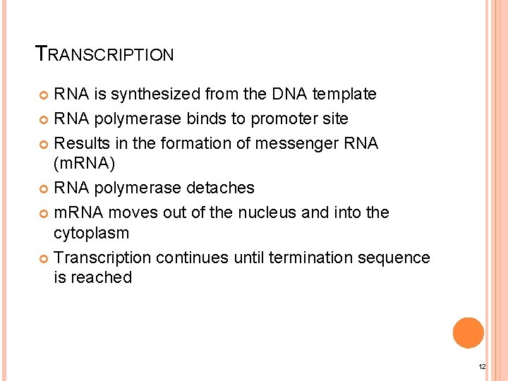TRANSCRIPTION RNA is synthesized from the DNA template RNA polymerase binds to promoter site