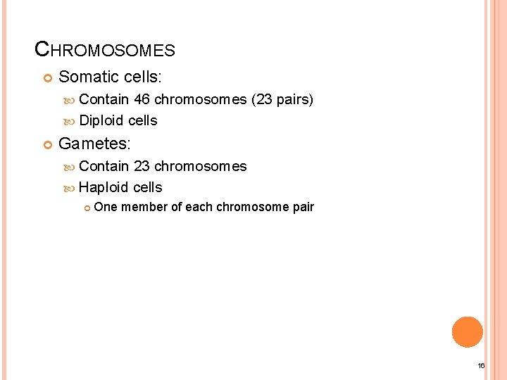 CHROMOSOMES Somatic cells: Contain 46 chromosomes (23 pairs) Diploid cells Gametes: Contain 23 chromosomes