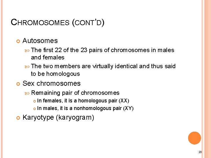 CHROMOSOMES (CONT’D) Autosomes The first 22 of the 23 pairs of chromosomes in males