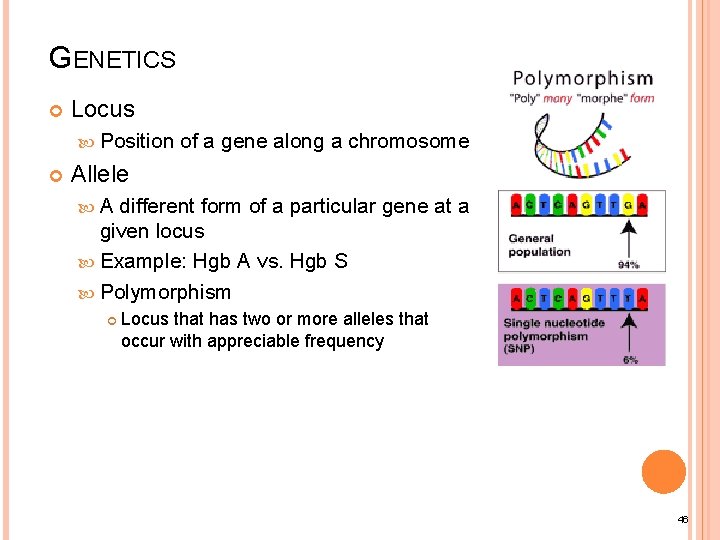 GENETICS Locus Position of a gene along a chromosome Allele A different form of