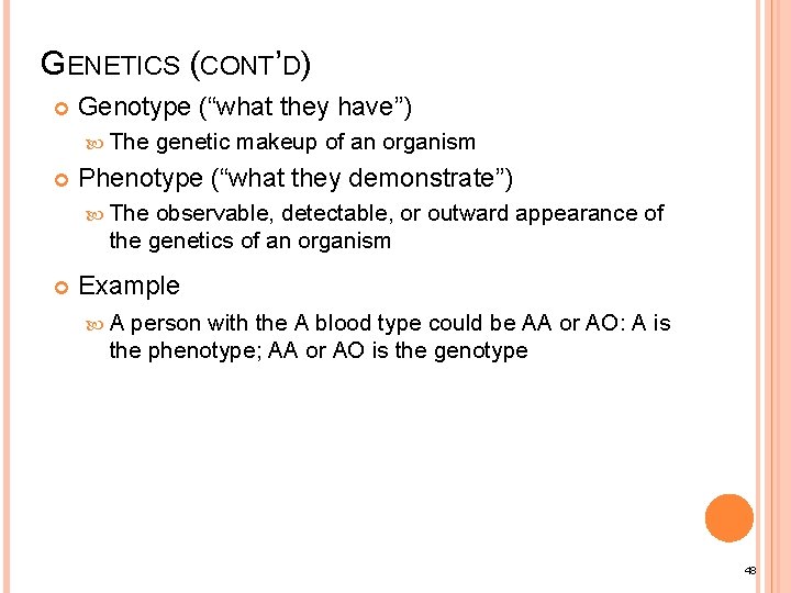 GENETICS (CONT’D) Genotype (“what they have”) The genetic makeup of an organism Phenotype (“what