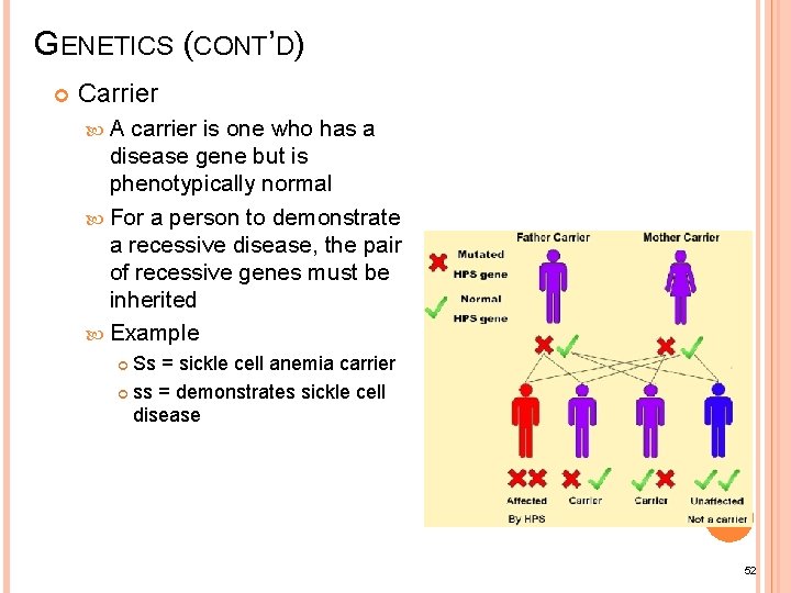 GENETICS (CONT’D) Carrier A carrier is one who has a disease gene but is