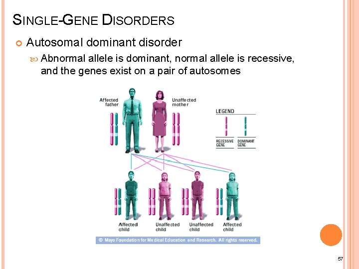 SINGLE-GENE DISORDERS Autosomal dominant disorder Abnormal allele is dominant, normal allele is recessive, and