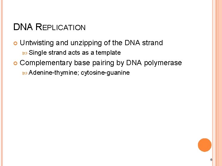 DNA REPLICATION Untwisting and unzipping of the DNA strand Single strand acts as a