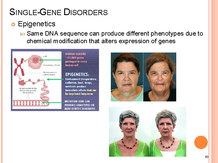 SINGLE-GENE DISORDERS Epigenetics Same DNA sequence can produce different phenotypes due to chemical modification