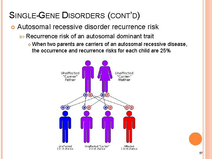 SINGLE-GENE DISORDERS (CONT’D) Autosomal recessive disorder recurrence risk Recurrence risk of an autosomal dominant