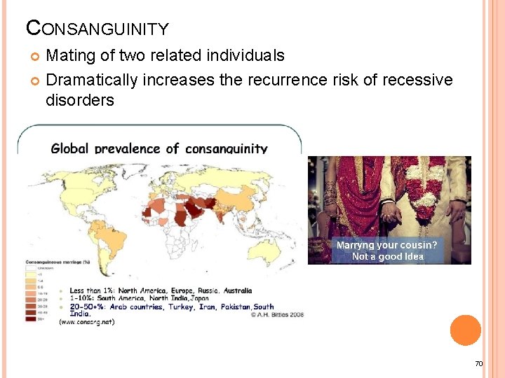 CONSANGUINITY Mating of two related individuals Dramatically increases the recurrence risk of recessive disorders