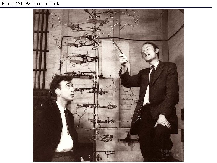 Figure 16. 0 Watson and Crick 