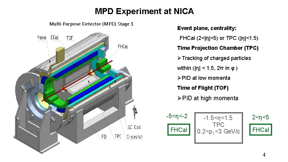 MPD Experiment at NICA Multi-Purpose Detector (MPD) Stage 1 Event plane, centrality: FHCal (2<|η|<5)