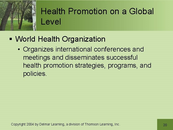 Health Promotion on a Global Level § World Health Organization • Organizes international conferences