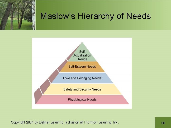 Maslow’s Hierarchy of Needs Copyright 2004 by Delmar Learning, a division of Thomson Learning,