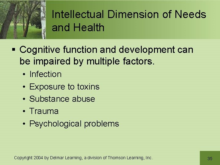 Intellectual Dimension of Needs and Health § Cognitive function and development can be impaired