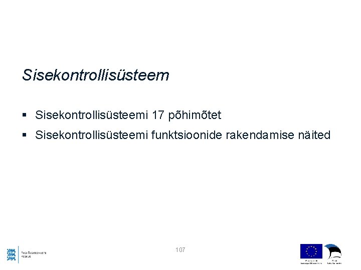 Sisekontrollisüsteem § Sisekontrollisüsteemi 17 põhimõtet § Sisekontrollisüsteemi funktsioonide rakendamise näited 107 