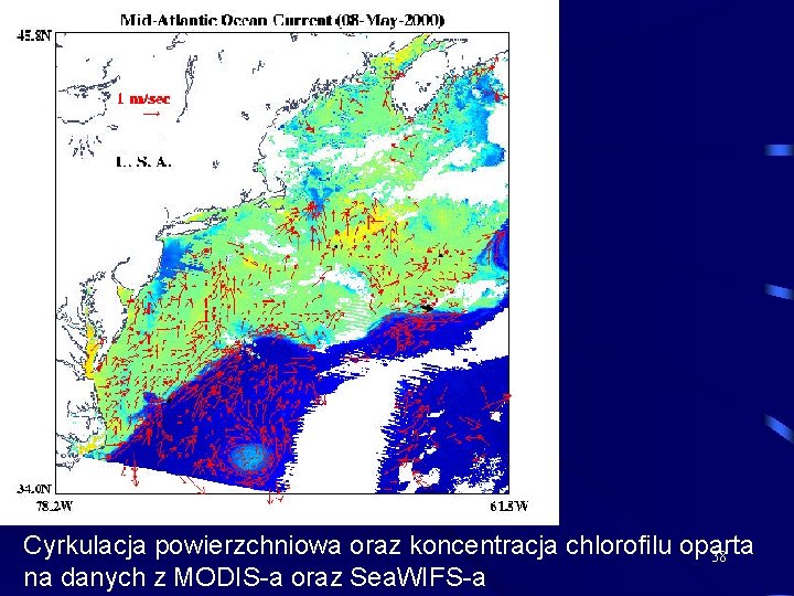 Cyrkulacja powierzchniowa oraz koncentracja chlorofilu oparta 38 na danych z MODIS-a oraz Sea. WIFS-a
