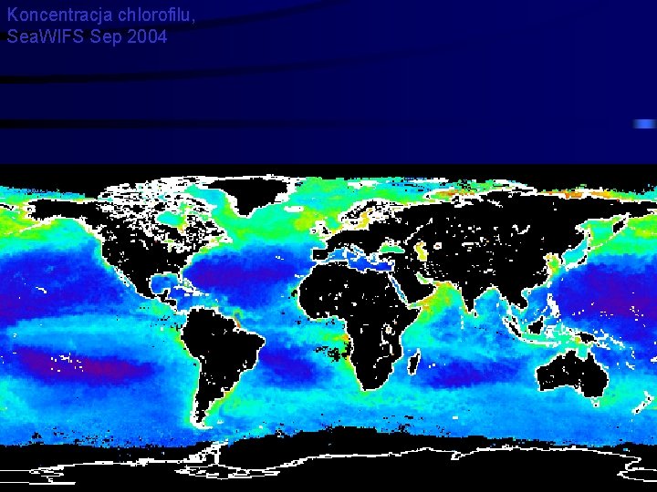 Koncentracja chlorofilu, Sea. WIFS Sep 2004 46 