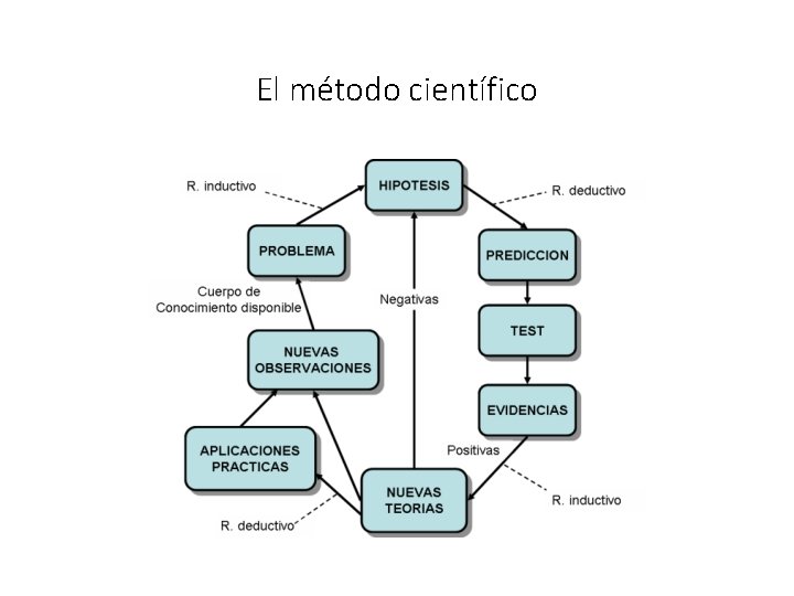 El método científico 