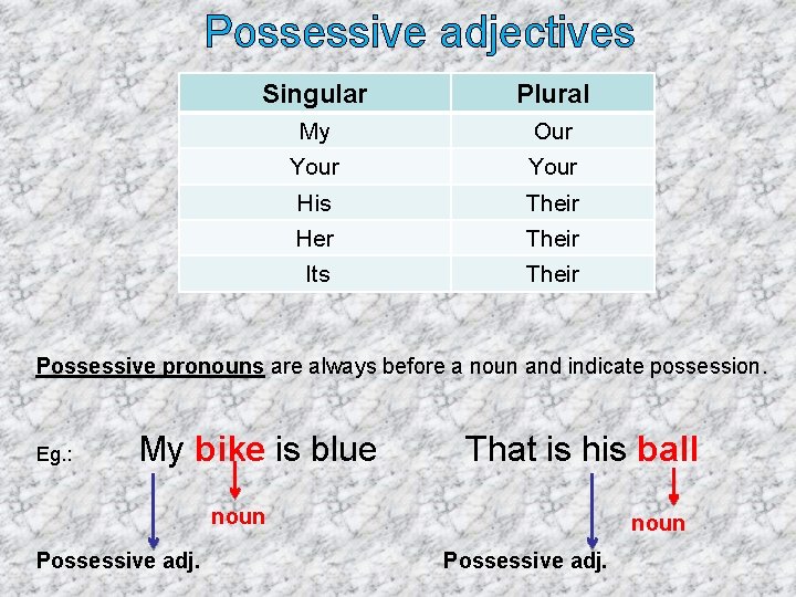 Possessive adjectives Singular Plural My Our Your His Their Her Their Its Their Possessive